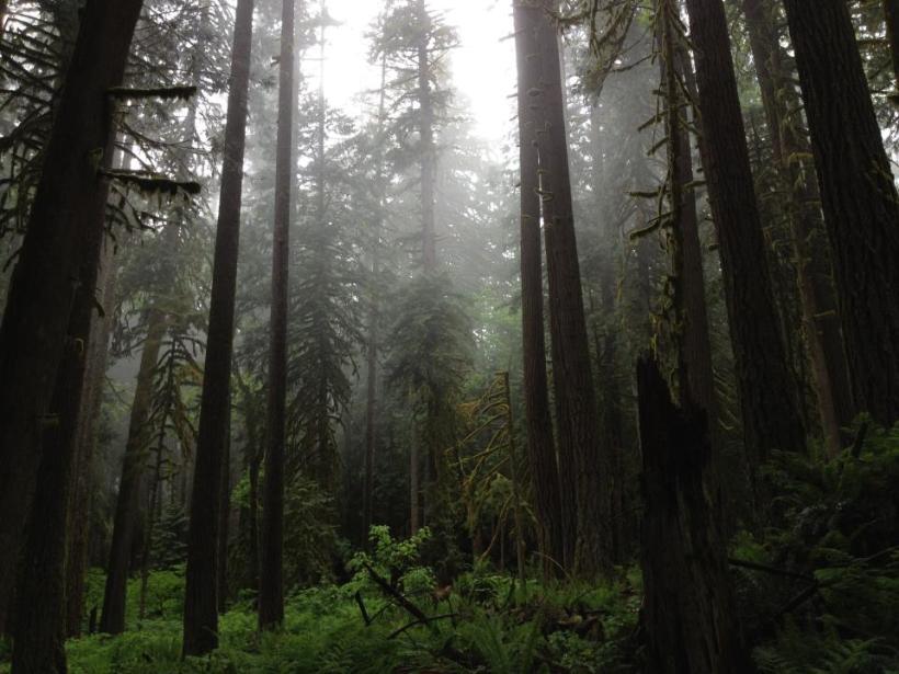 photo by Josh Scholten