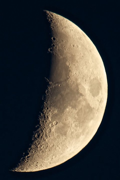 photo by Josh Scholten