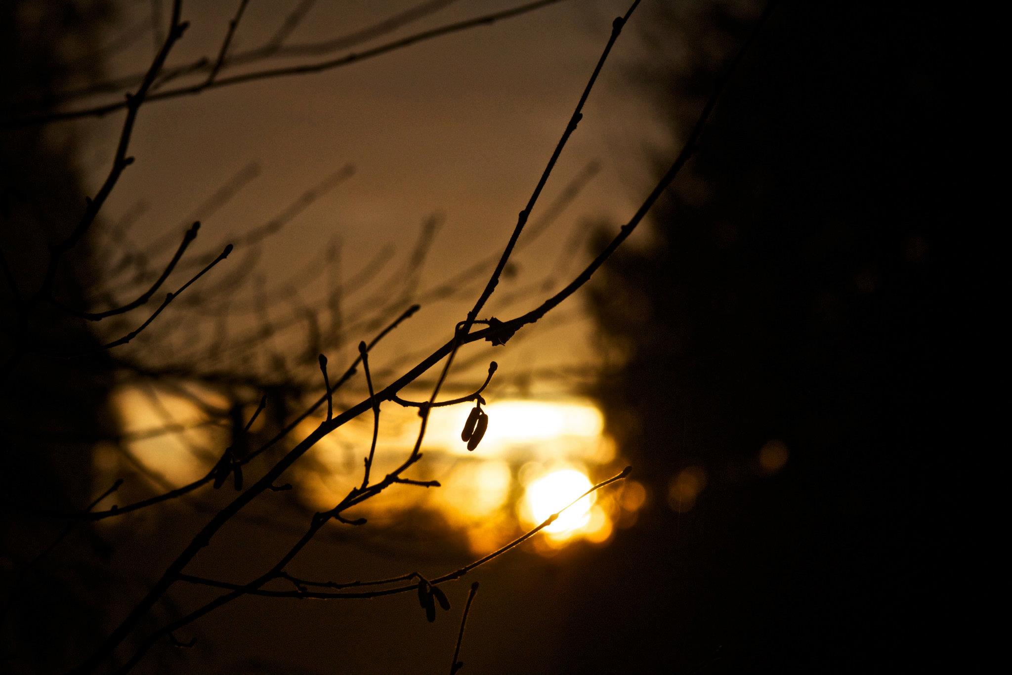 photo by Josh Scholten