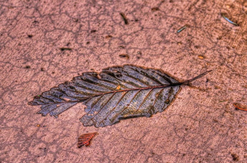 photo by Josh Scholten