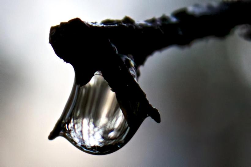 photo by Josh Scholten