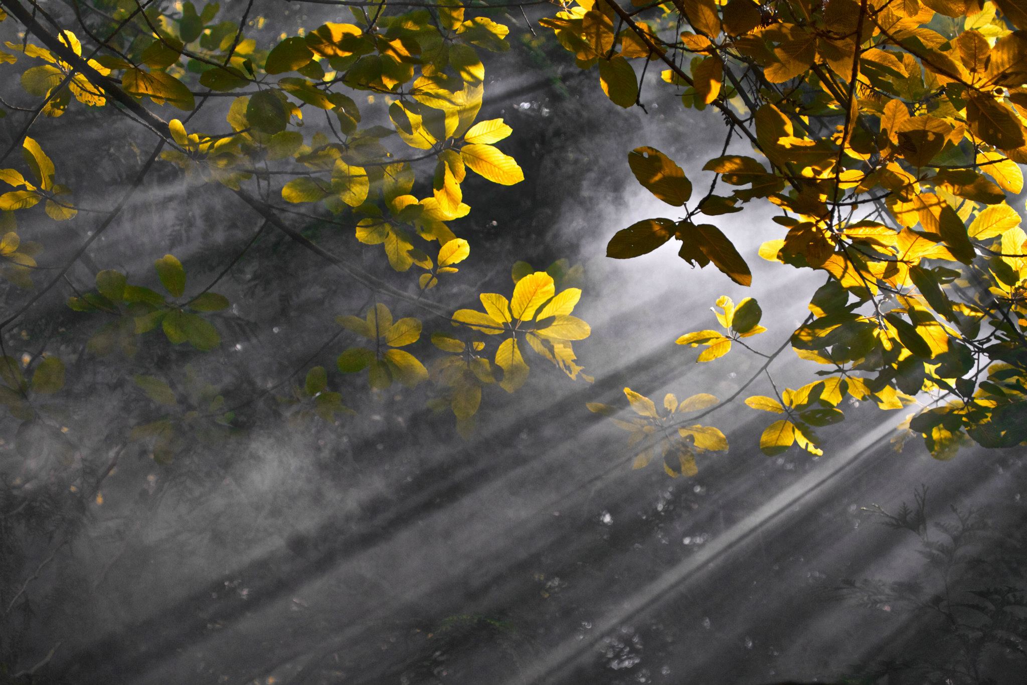 photo by Josh Scholten