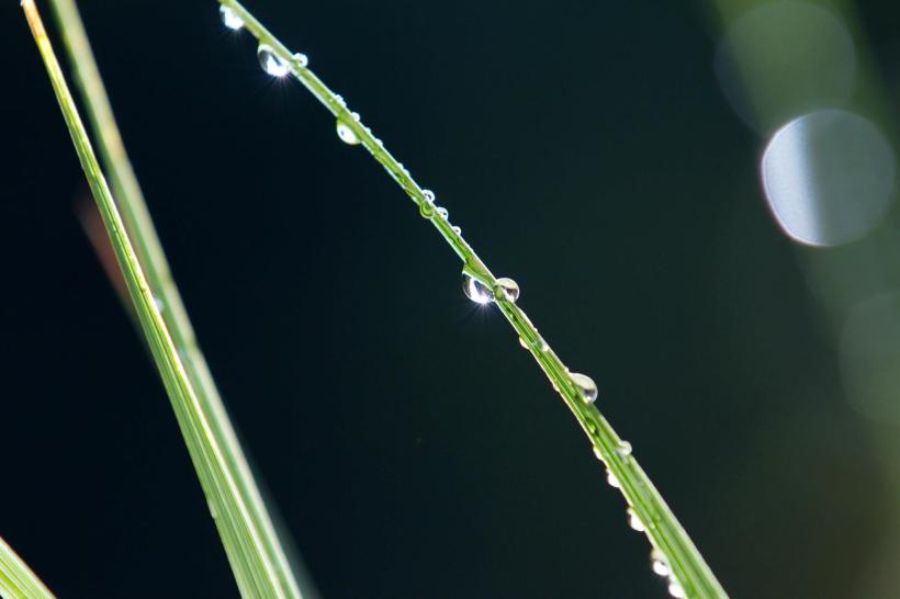 photo by Josh Scholten