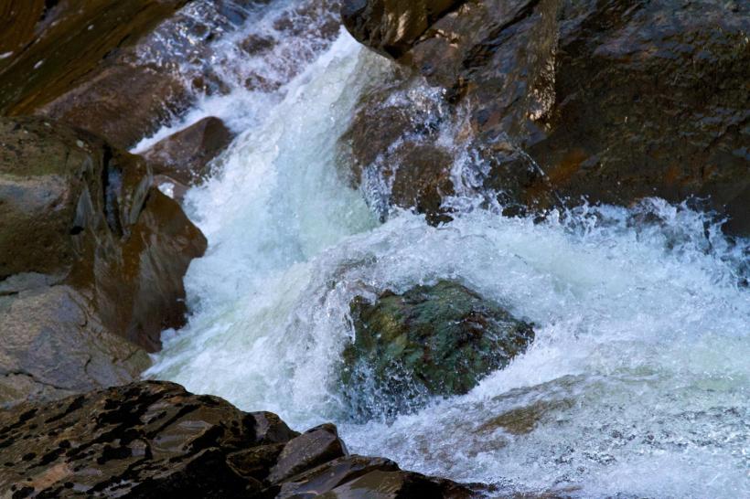 photo by Josh Scholten