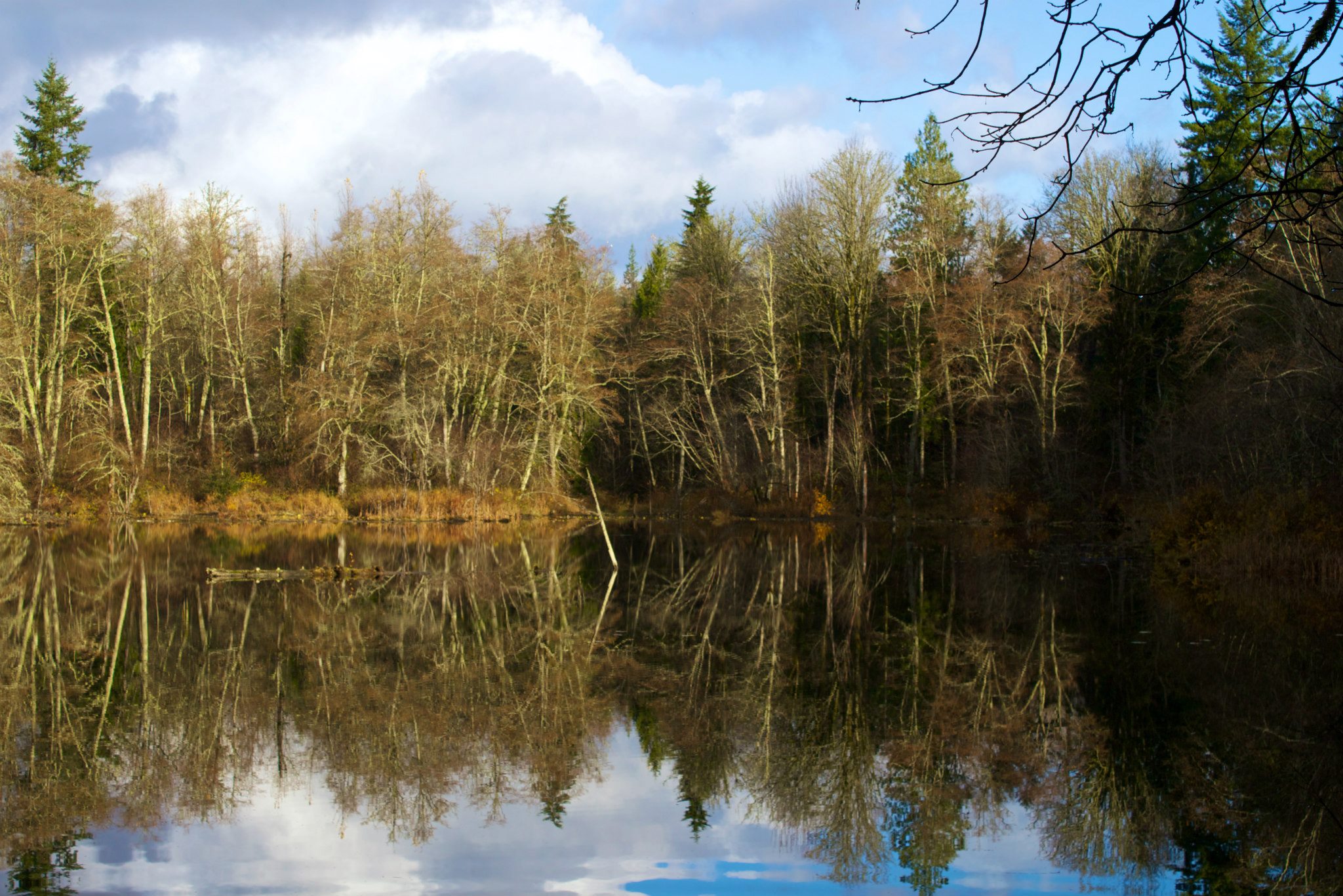 photo by Josh Scholten