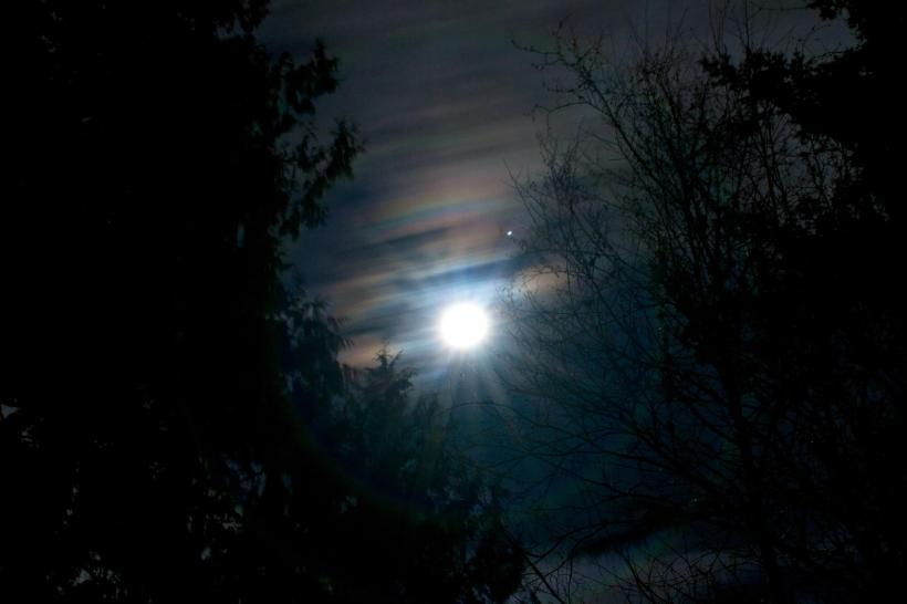 photo by Josh Scholten