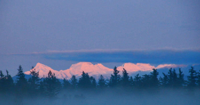 photo by Nate Gibson