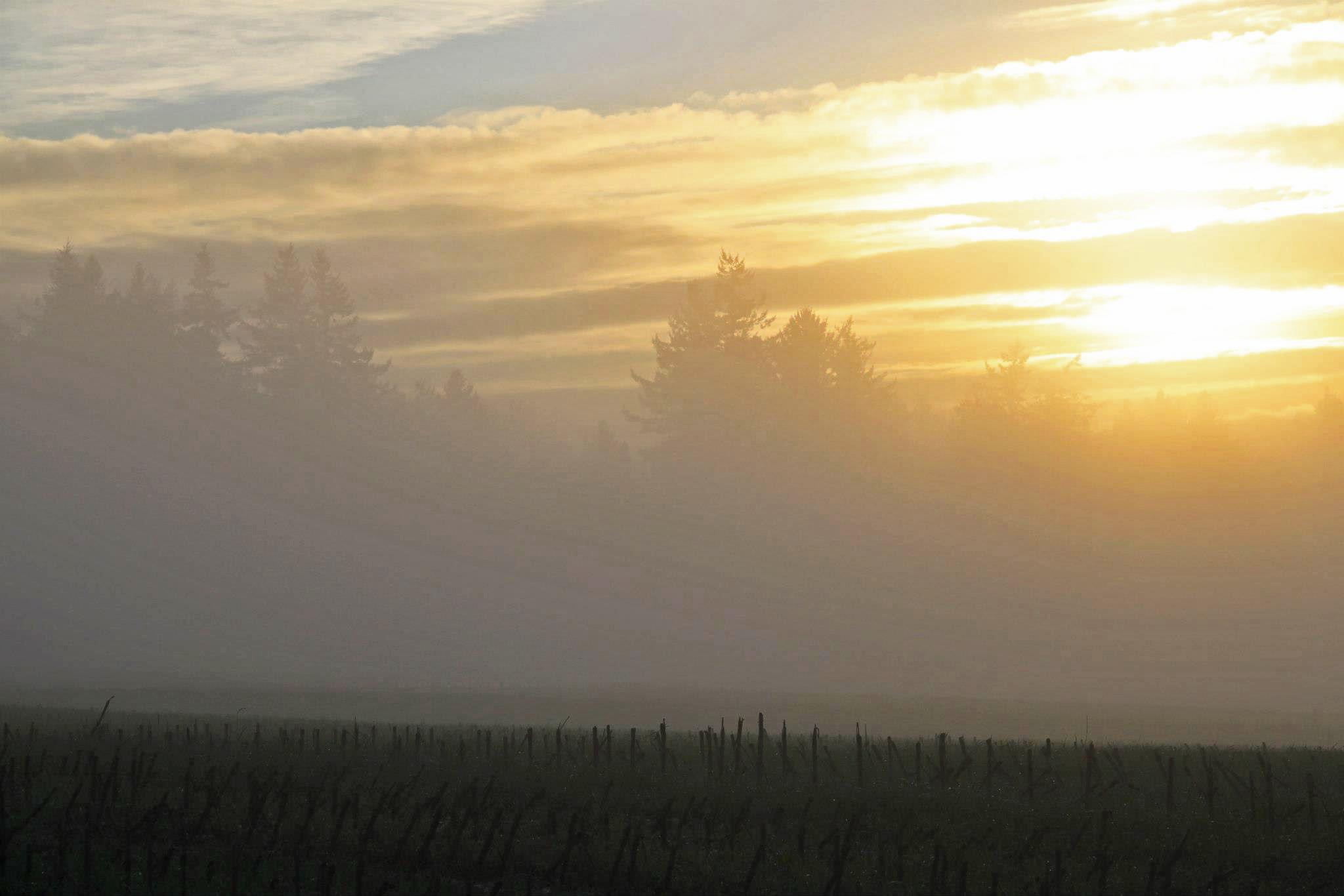 photo by Nate Gibson