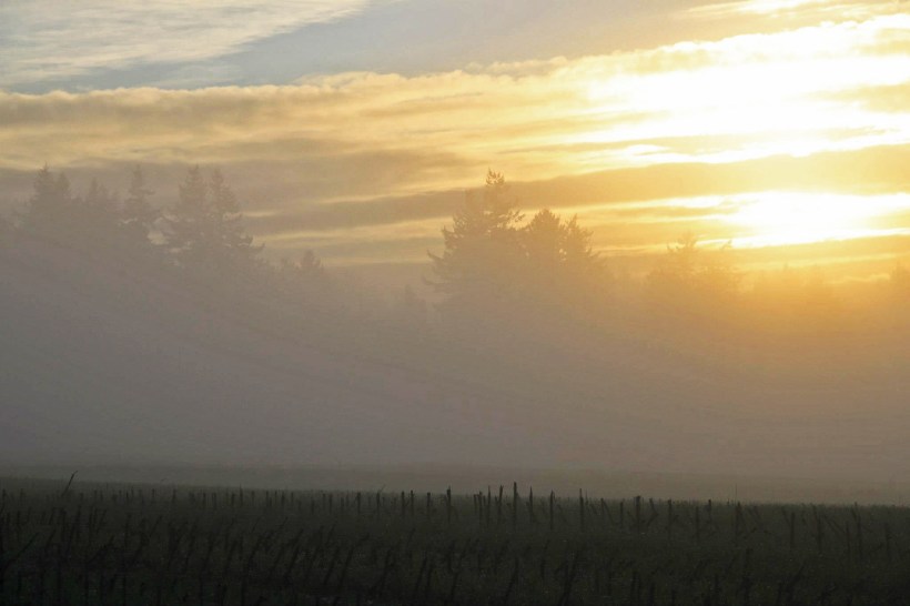 photo by Nate Gibson