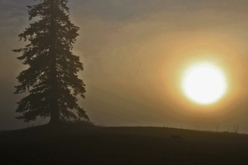 photo by Nate Gibson