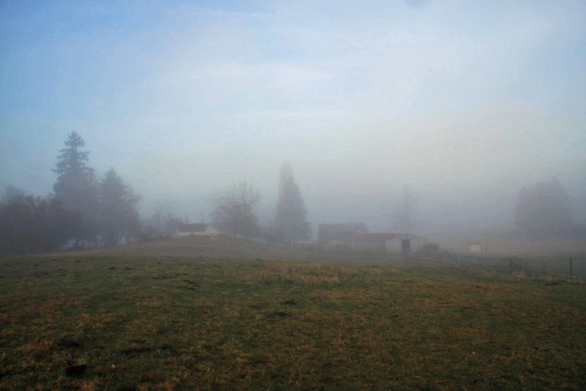 photo by Nate Gibson