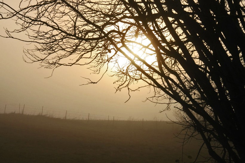 photo by Nate Gibson