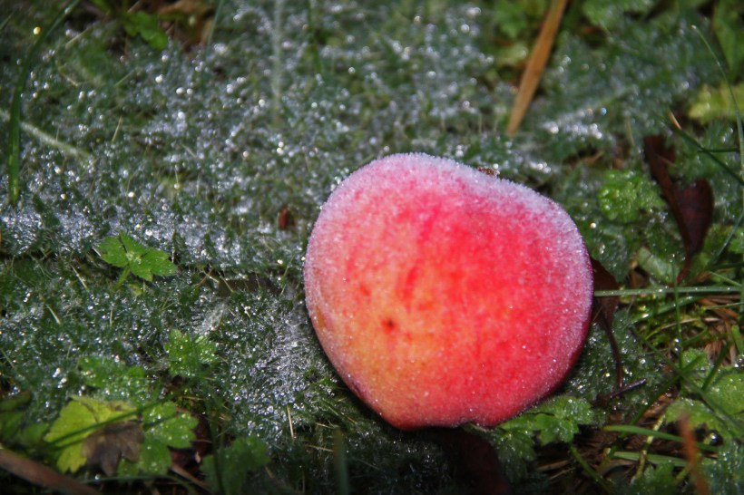 photo by Nate Gibson