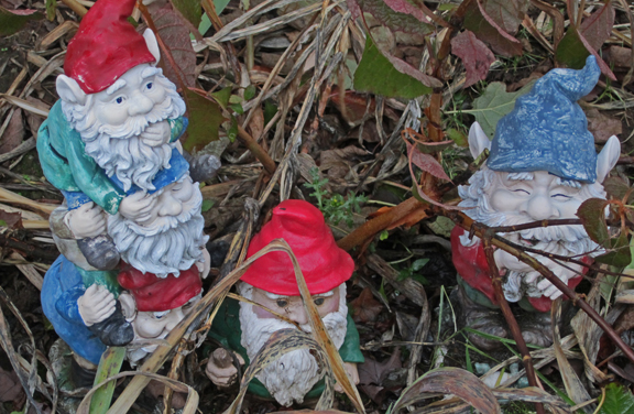 wintergnomes