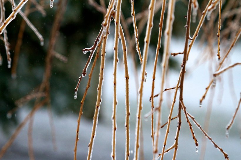 photo by Josh Scholten