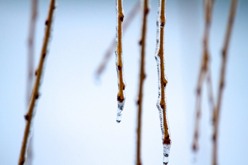 photo by Josh Scholten