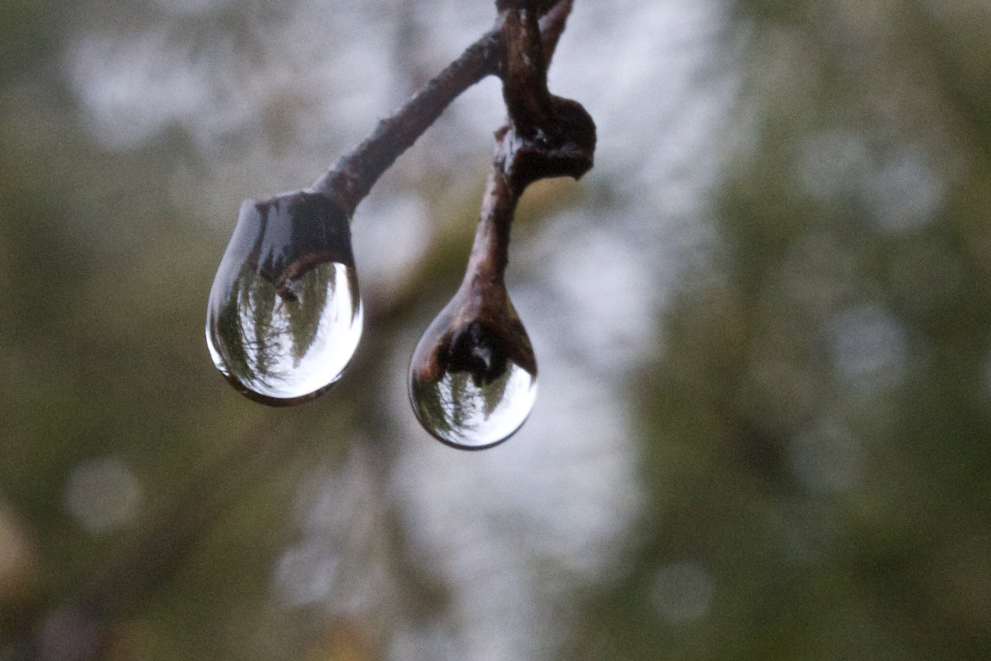 photo by Josh Scholten