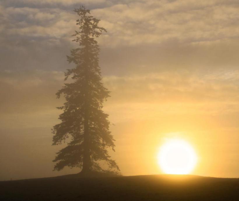 photo by Nate Gibson