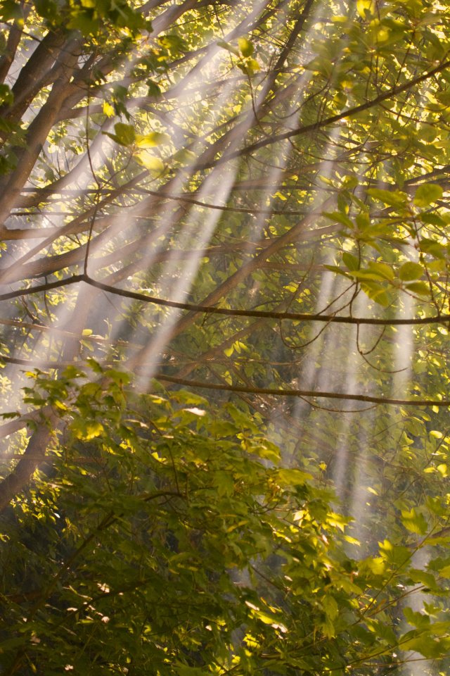 photo by Josh Scholten