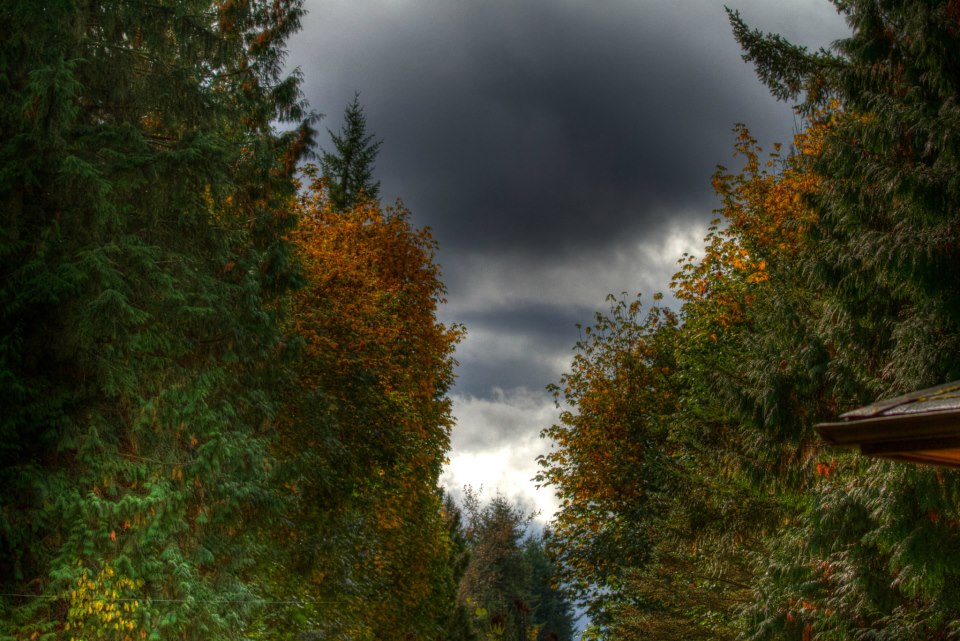 282257_4347339793967_421152763_n