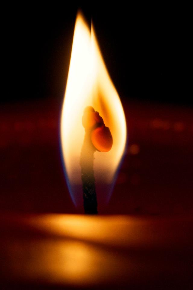 photo by Josh Scholten