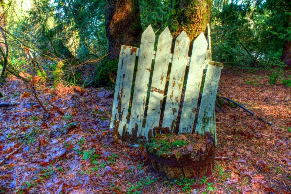 photo by Josh Scholten