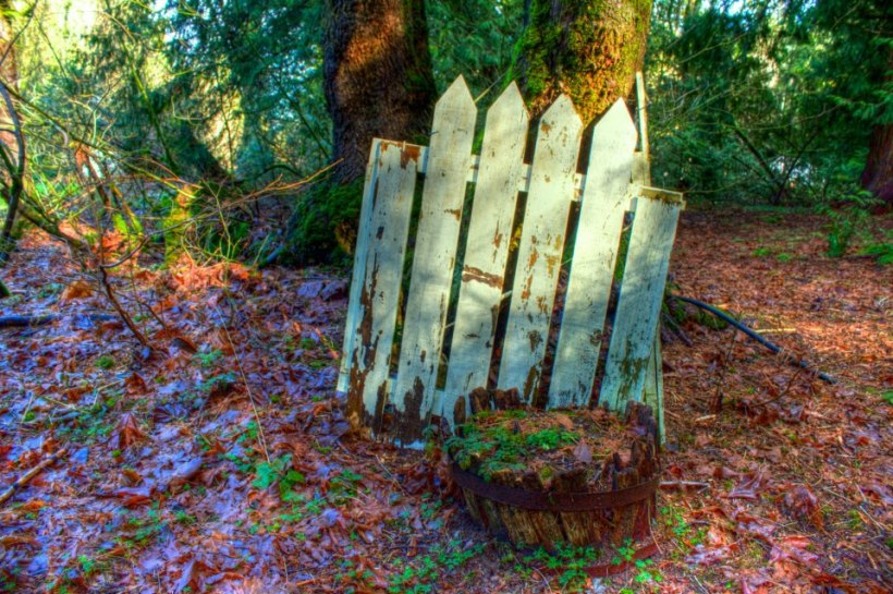 photo by Josh Scholten