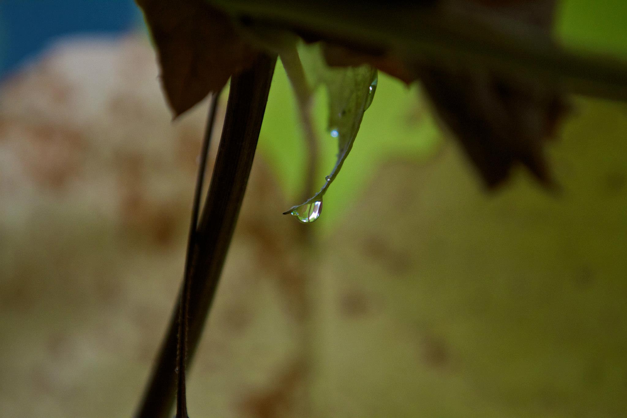 photo by Josh Scholten