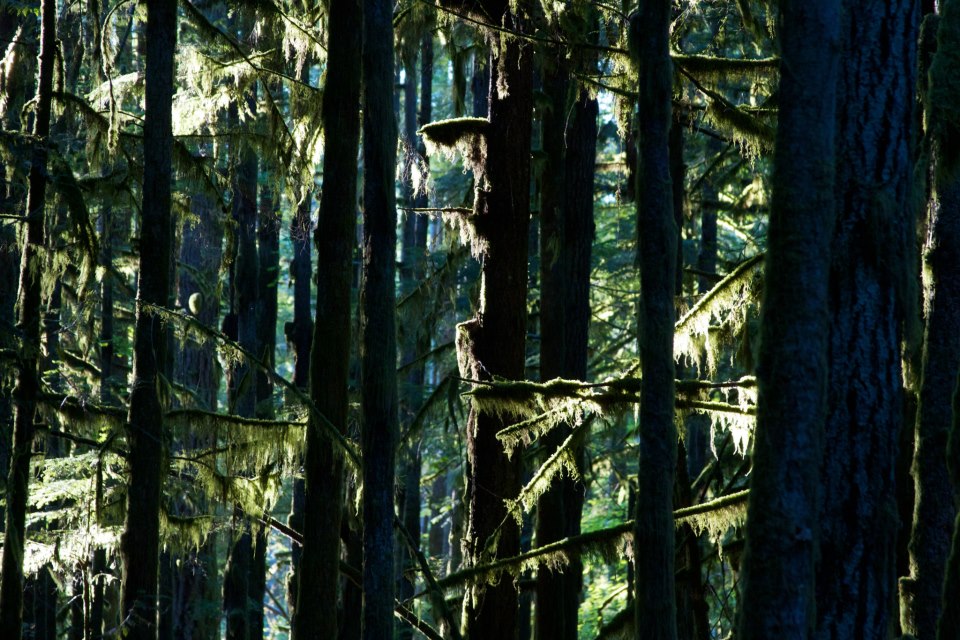 photo by Josh Scholten