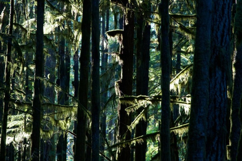 photo by Josh Scholten