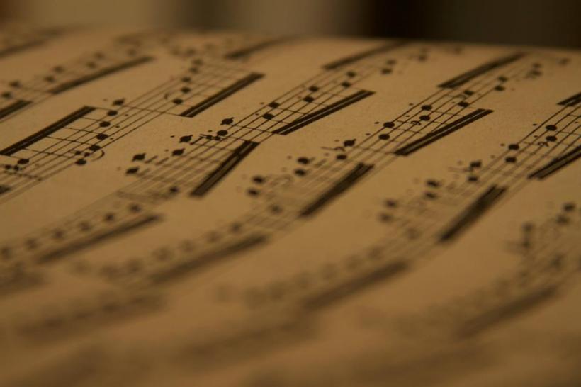 photo by Josh Scholten