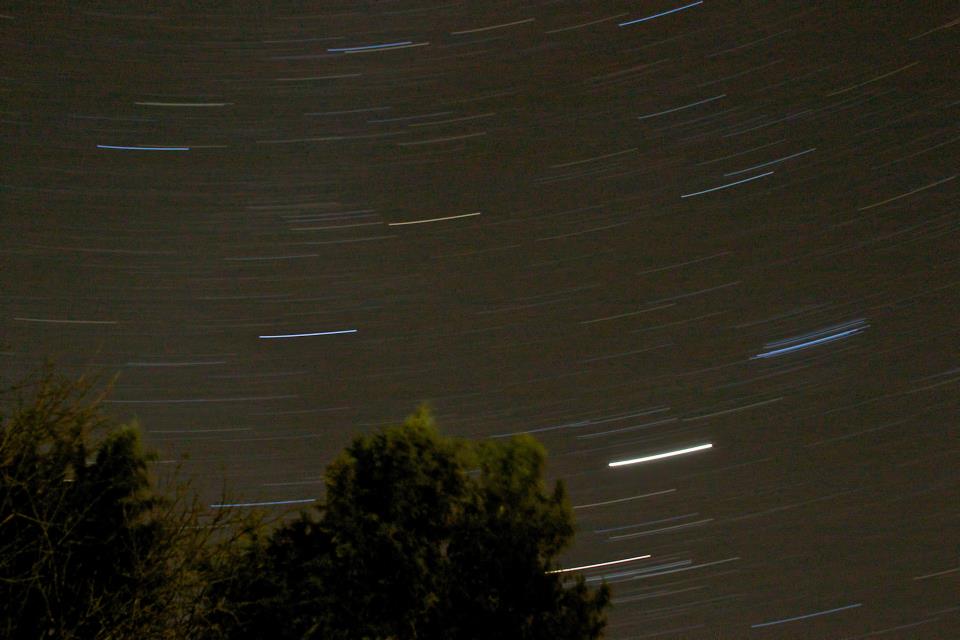 photo by Josh Scholten