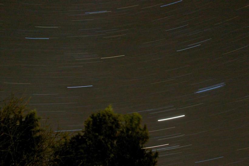 photo by Josh Scholten