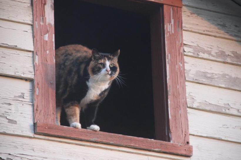 photo by Nate Gibson