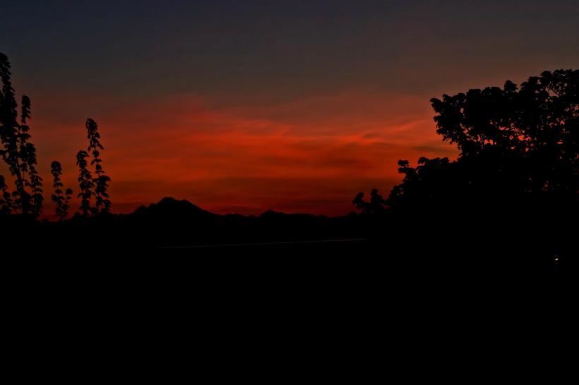 photo by Josh Scholten