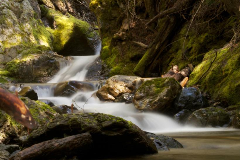 photo by Josh Scholten