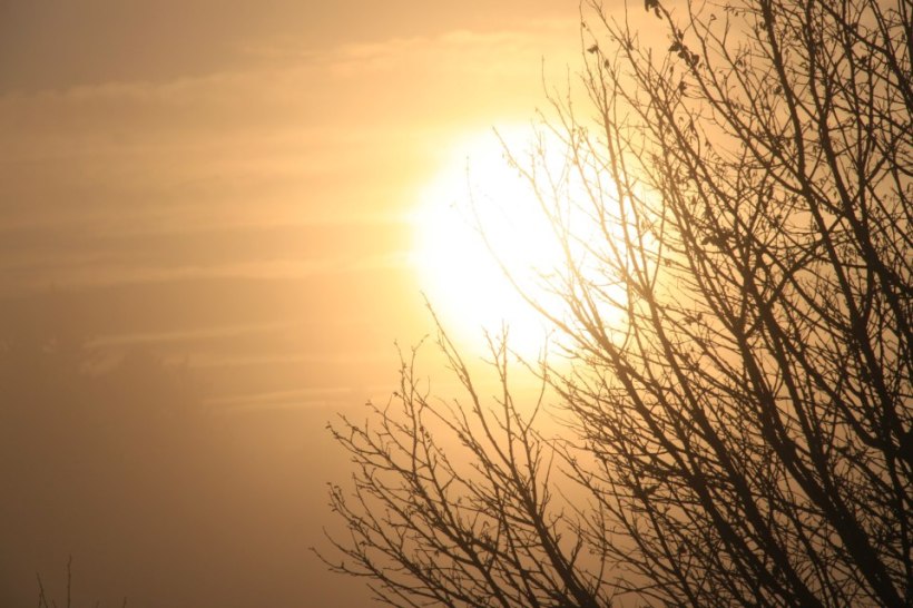 photo by Nate Gibson