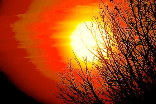 photo by Nate Gibson