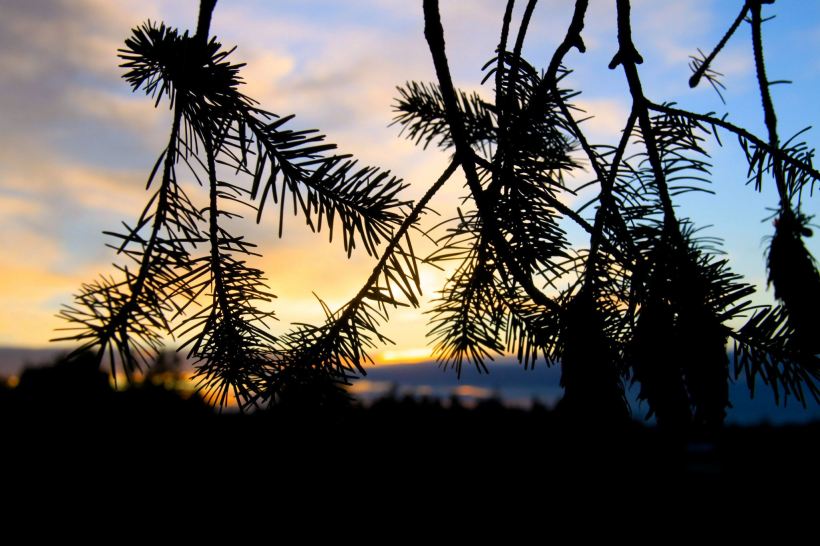 photo by Nate Gibson