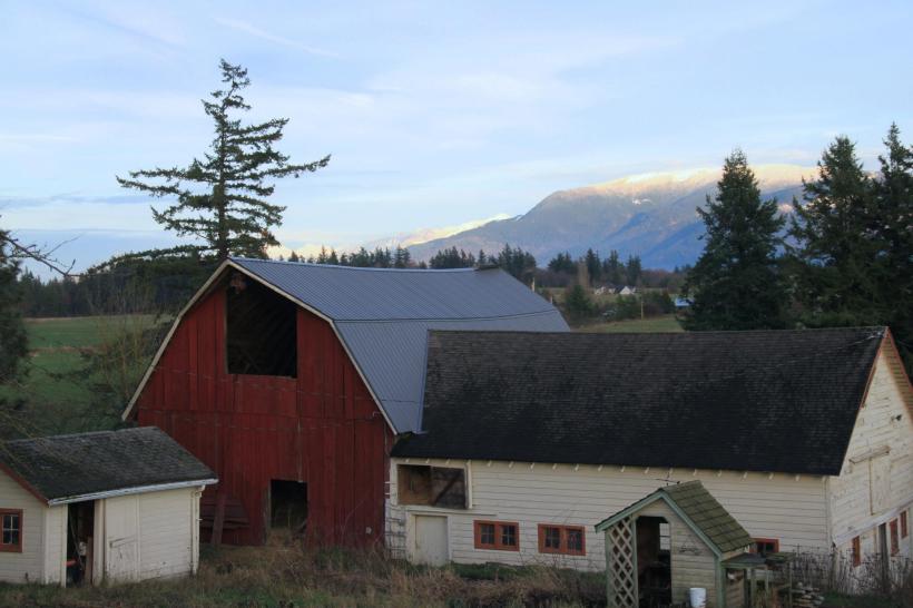 photo by Nate Gibson