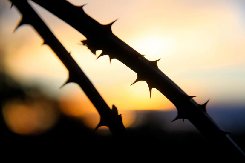 photo by Nate Gibson