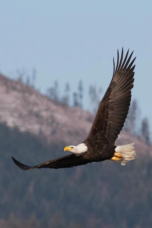 photo by Josh Scholten