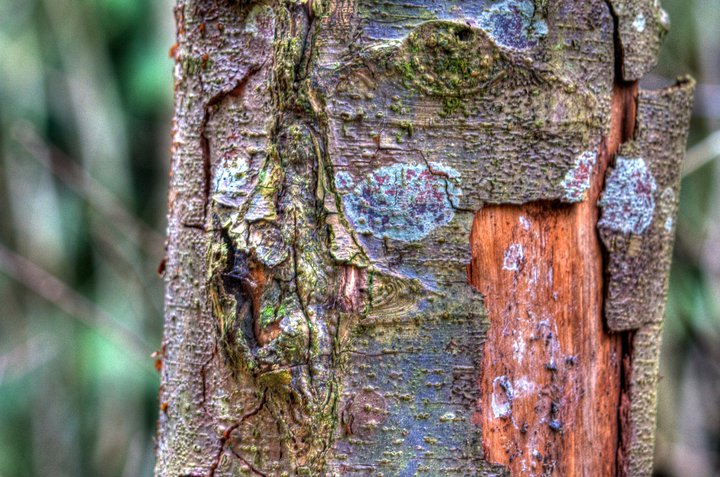 photo by Josh Scholten