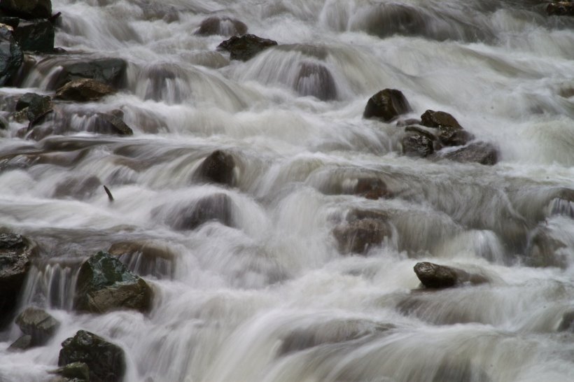 photo by Josh Scholten