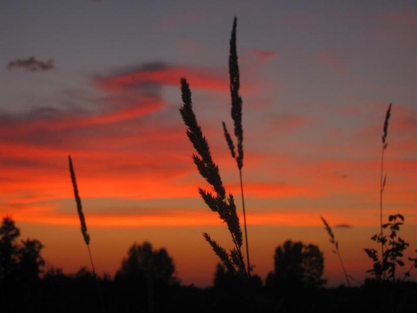 photo by Nate Gibson