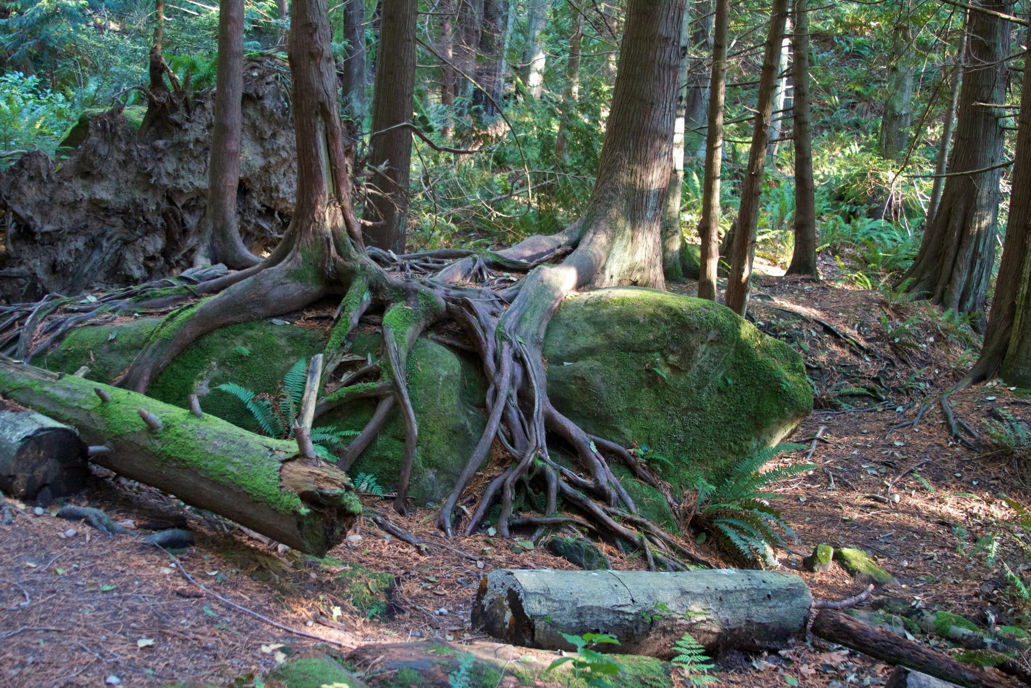 photo by Josh Scholten