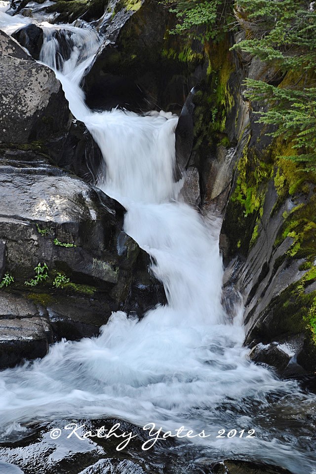 photo by Kathy Yates