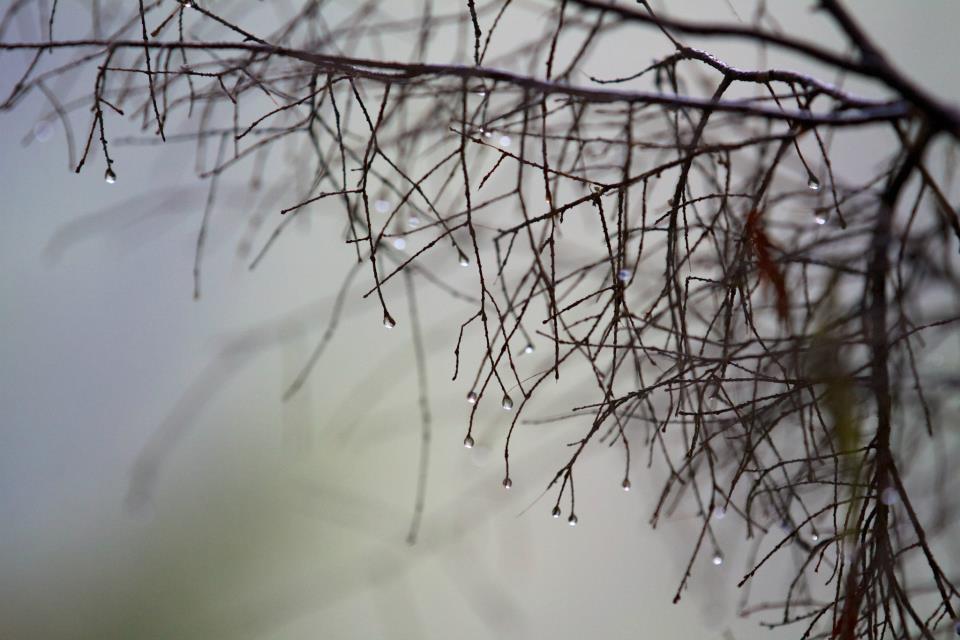 photo by Josh Scholten