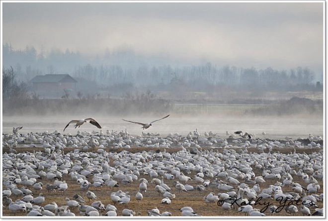 photo by Kathy Yates