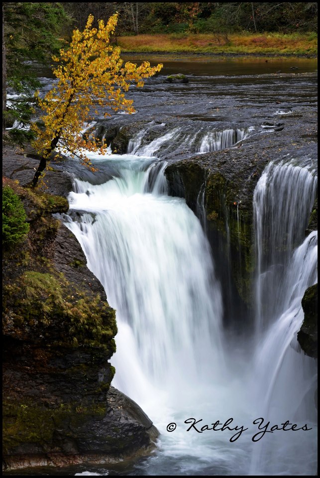 photo by Kathy Yates